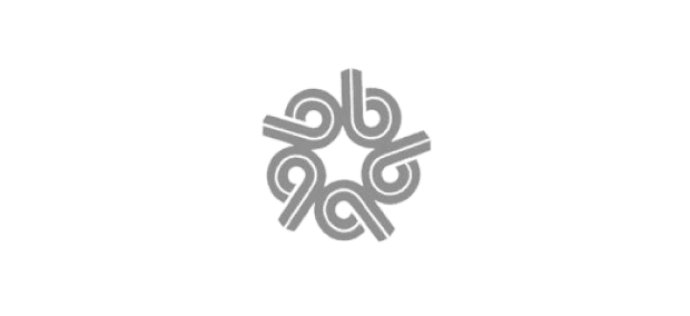 PT Bintan Alumina Indonesia client logo